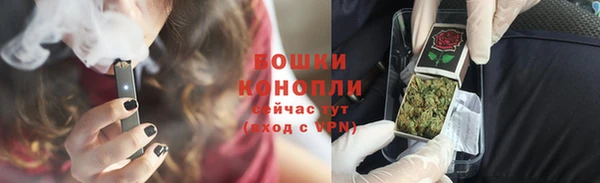 индика Алагир