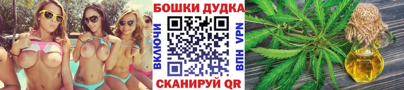 Бошки Шишки планчик  blacksprut ТОР  Полярный 